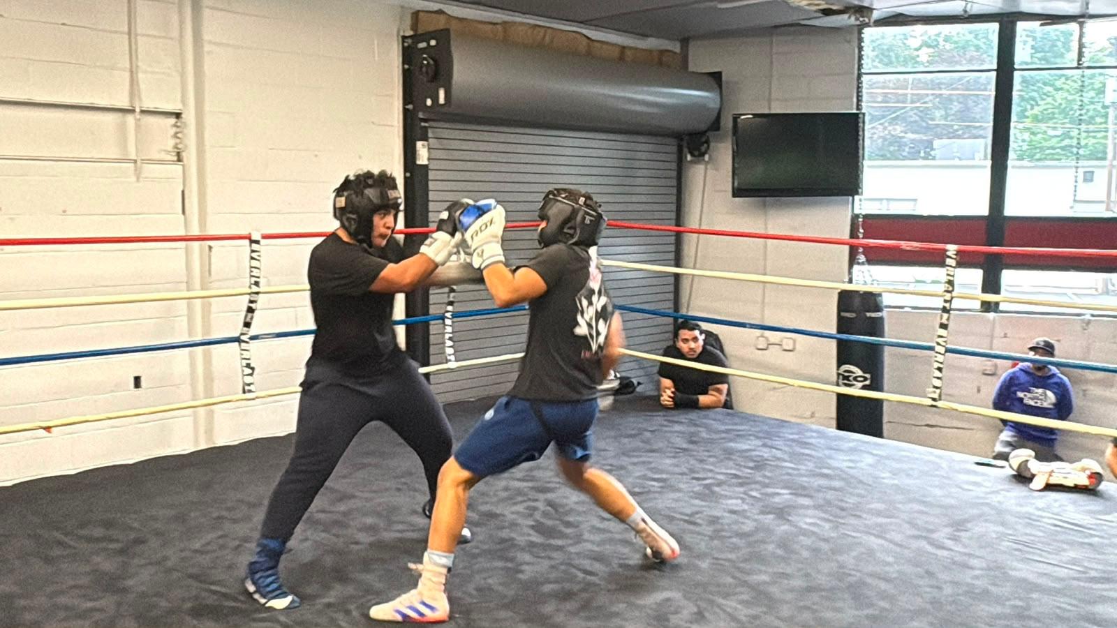 Hammer Boxing Club 52