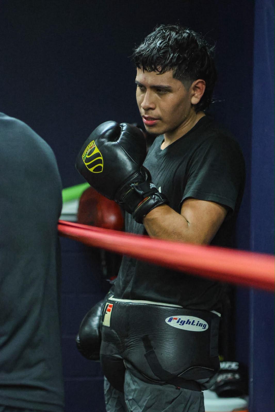 Hammer Boxing Club 21